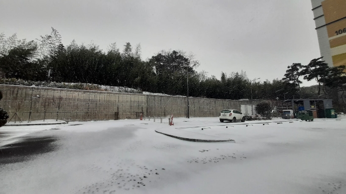 대상 임야 서측부 모습