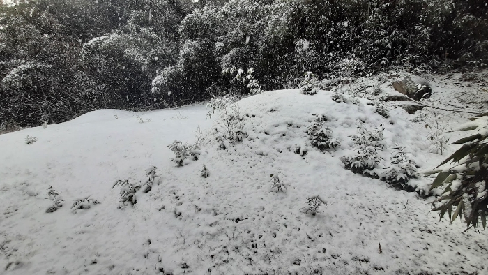 최하단부 2기 모습