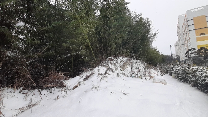 대상 임야 옹벽 상단부 모습