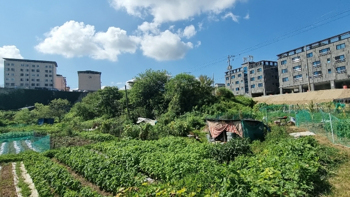 [본건 토지 전경(북측에서 촬영)]
