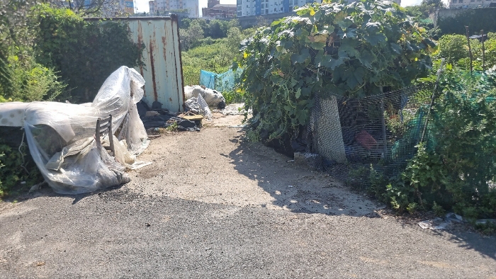 [본건 북측 소재 컨테이너 전경]