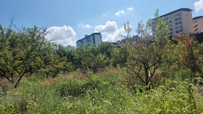 [본건 토지중 중,하단부 내부 전경]