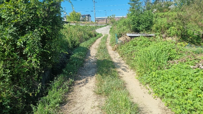 [본건 토지 남측 인접도로 전경]