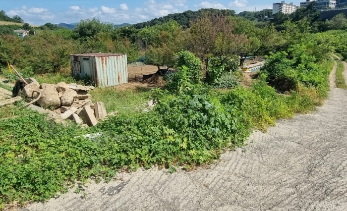 [본건 토지 및 분할 된 498-67 토지 전경(남측에서 촬영)]