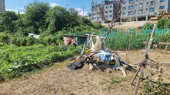 [본건 토지중 중,상단부분 및 인근 토지 전경]