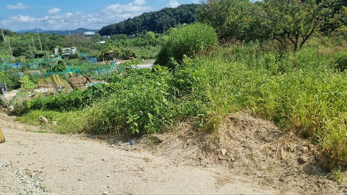 [본건 토지 중 분할된 498-66번지 토지 전경]