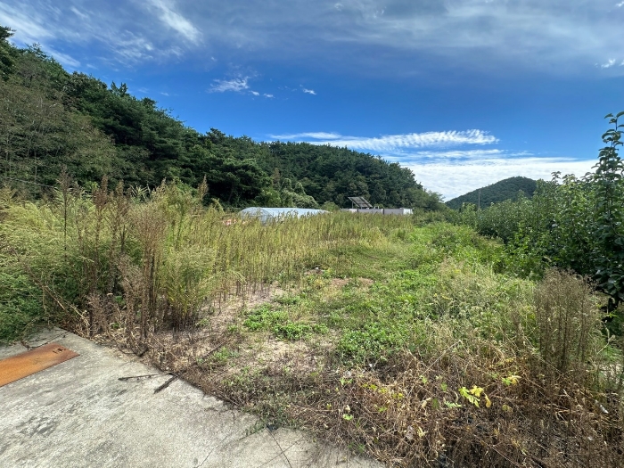 일련번호(4) 전경