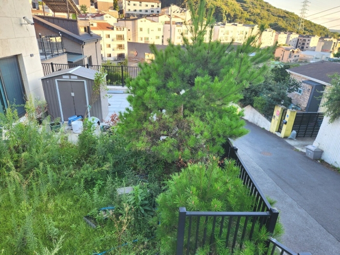 정원시설(수목 등)