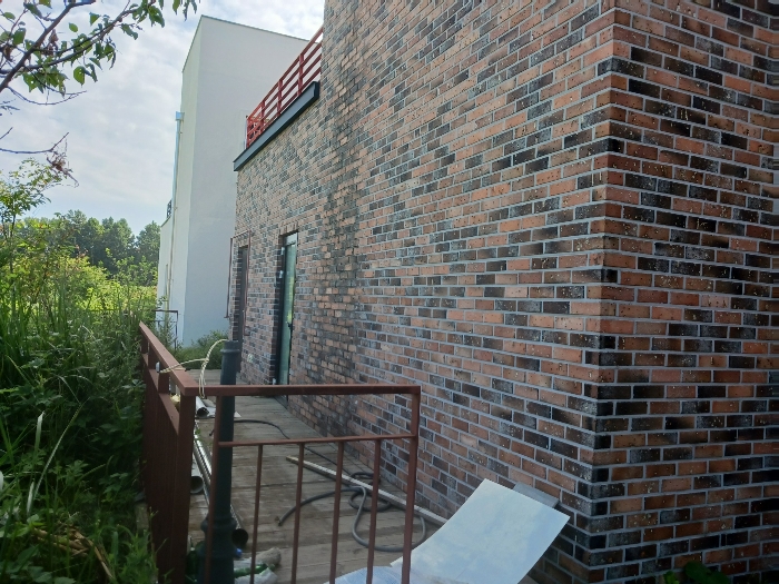 대상물건 후면 및 제시외 구조물㉢