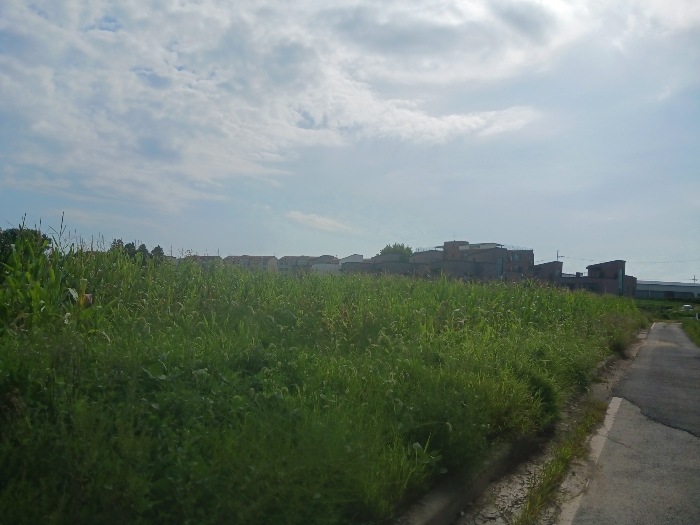 대상물건 진입도로 초입 주변