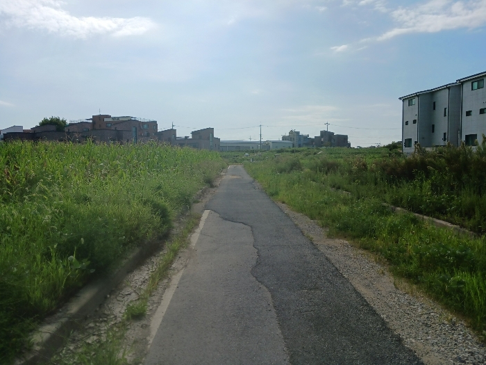 대상물건 기호1(진입도로 초입)