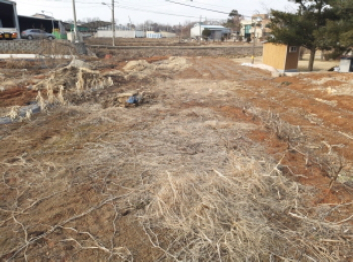 * 본건 목록 10. 전경