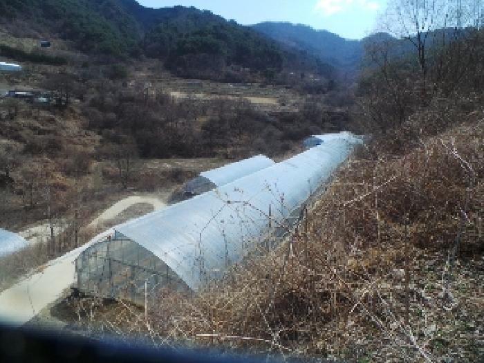 사진8번 [목록번호1번 부동산에 소재하는 하우스 전경]