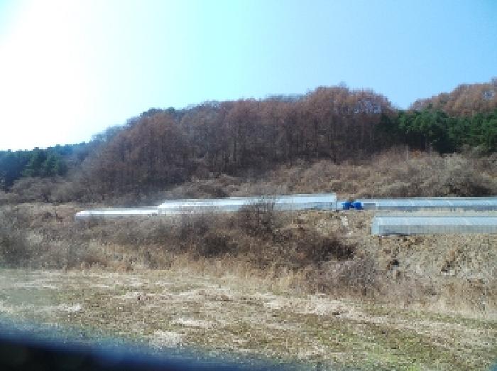 사진16번 [목록번호1.3번 부동산 일부 전경]