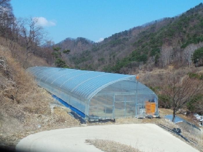 사진14번 [목록번호3번 부동산에 소재하는 철파이프조 하우스 전경]