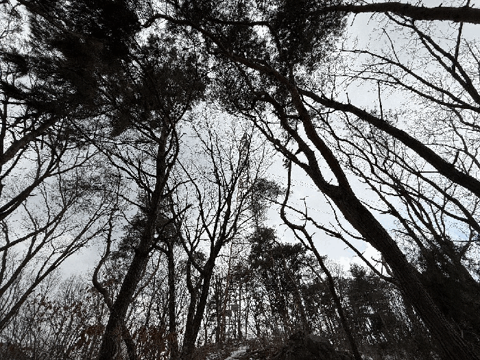 본건 경계부근의 철탑