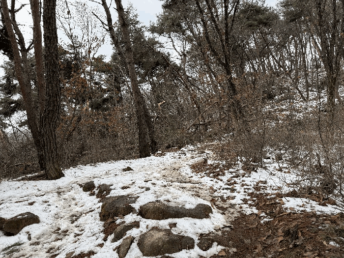 본건 및 등산로