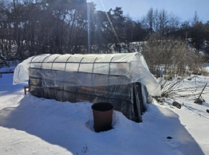 제시 외 파이프