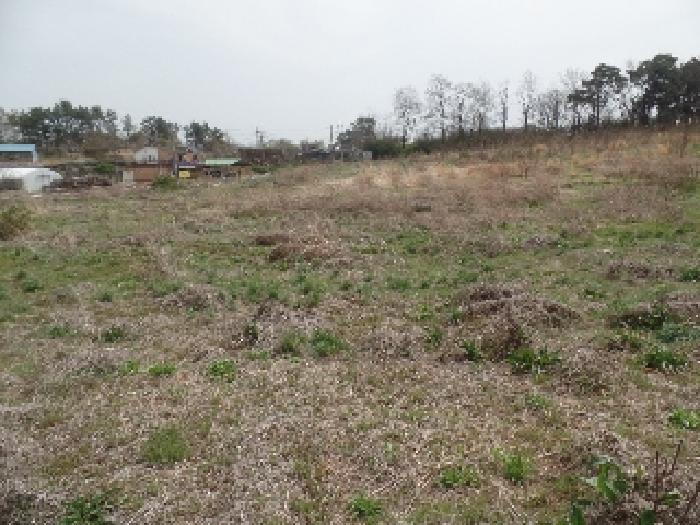 기호 1. 및 기호 2. 북동측 일부