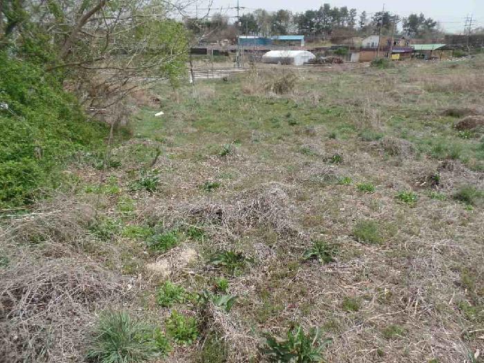 기호 2. 북측 일부