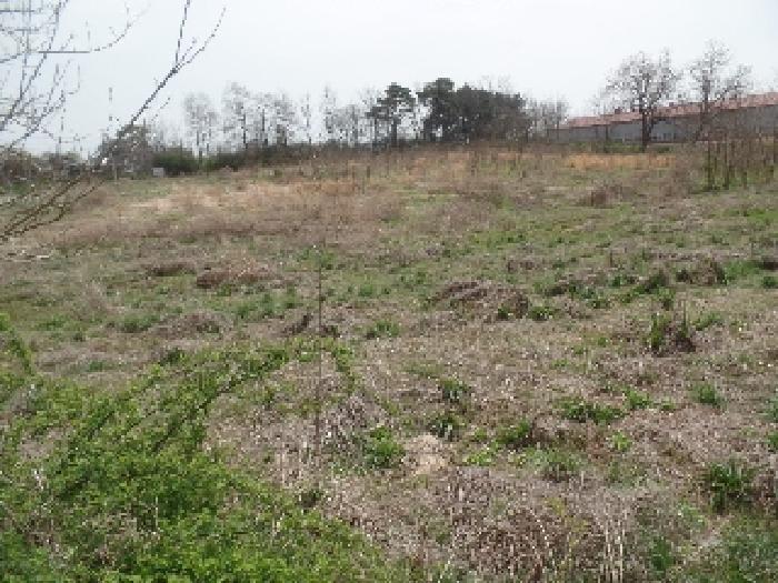 기호 2. 동측 일부