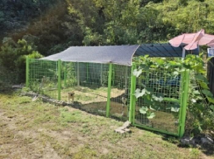 기호4번 점유자 임종필 소유의 견사