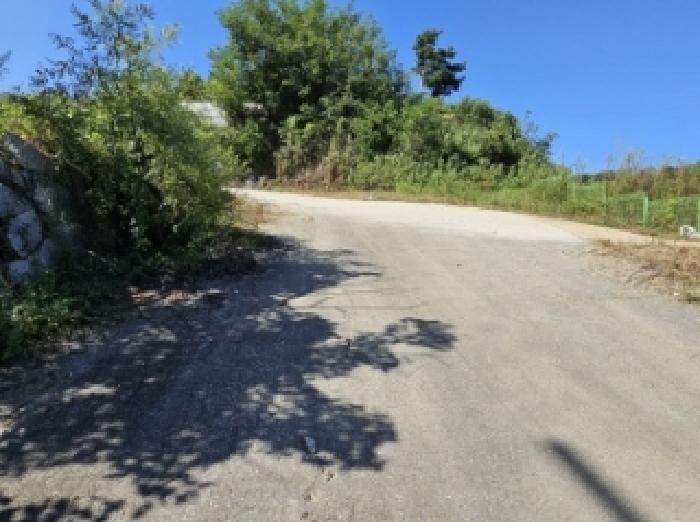 기호5번 전경 및 도로 부분