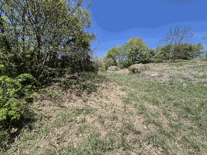 대상 토지(4,6) 전경