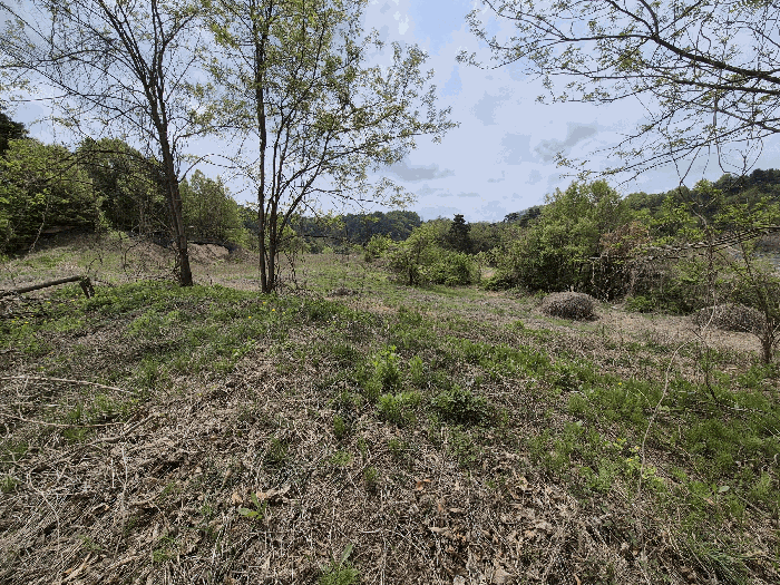 대상 토지(4) 미개발지 부분