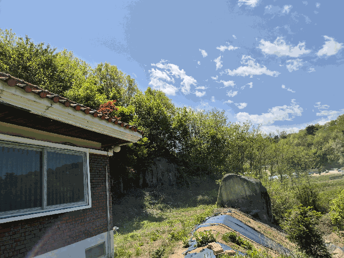 대상 토지(4) 미개발지 부분