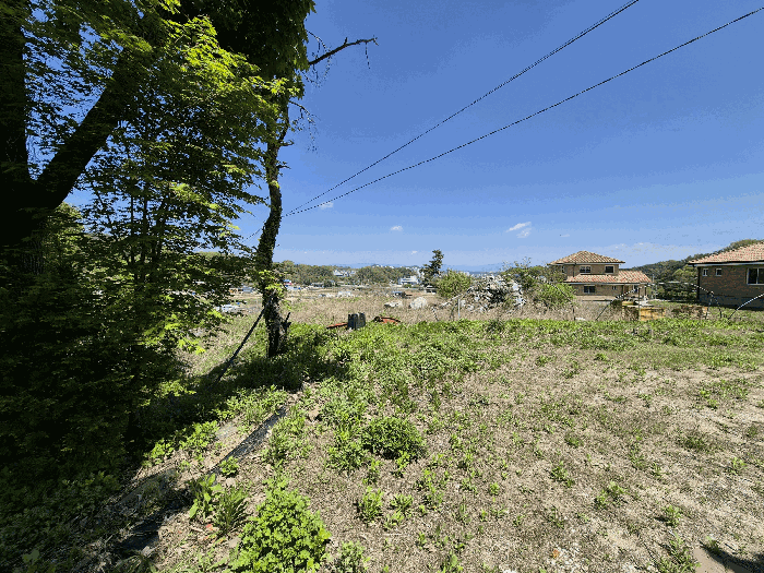 대상 토지(3) 전경