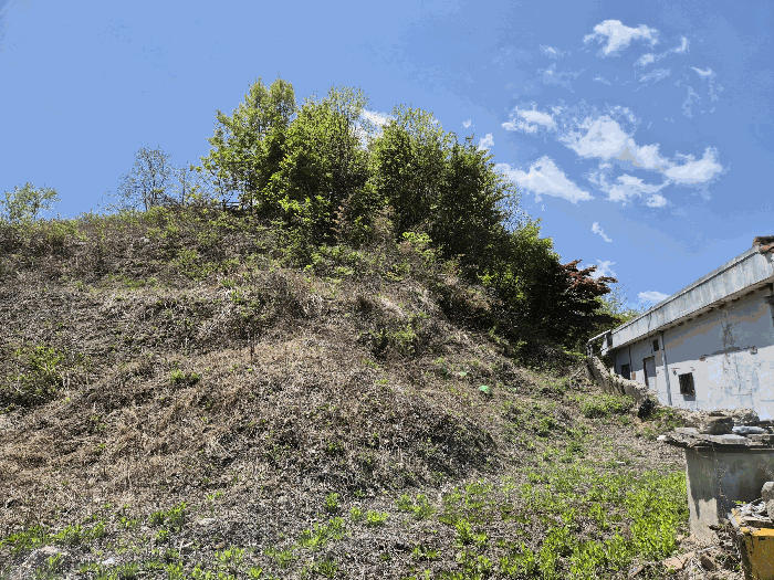 대상 토지(6) 전경