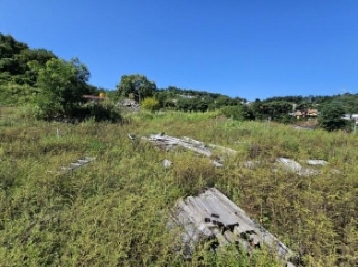 기호3번 폐자재