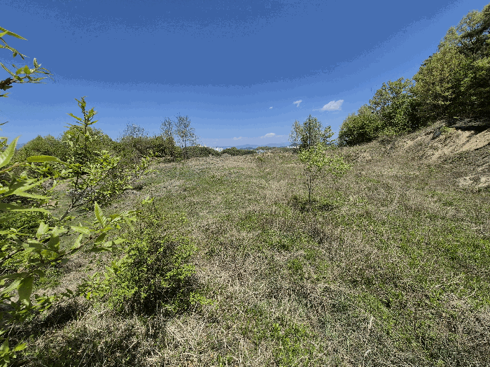 대상 토지(4) 미개발지 부분