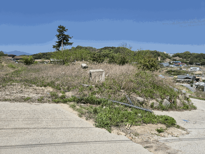 대상 토지(5) 전경