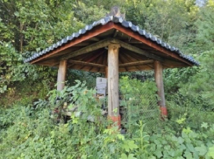 기호4번 점유자 임종필 소유의 정자