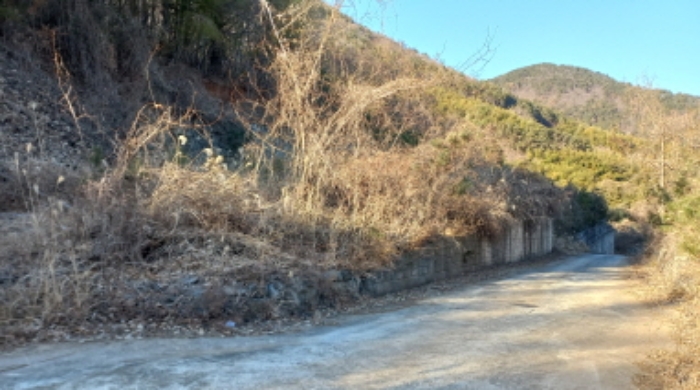목록 3