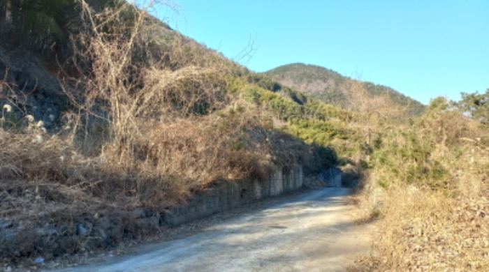 목록 3