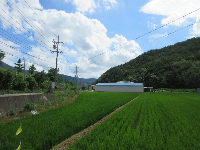 【 본 건 및 주위 환경 】