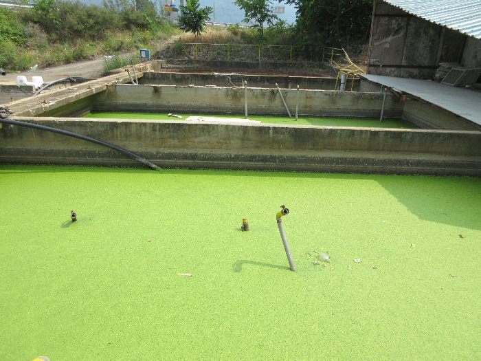 【 본 건 기호 7) 지상 구축물 】