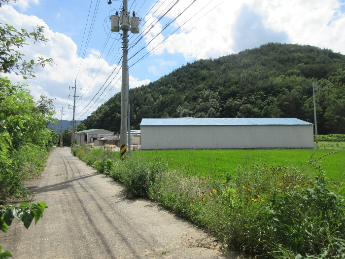 【 본 건 및 주위 환경 】