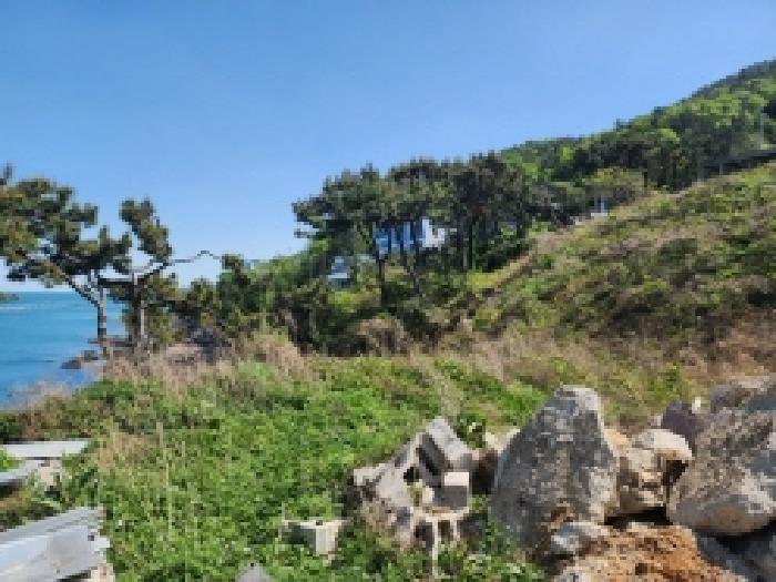 본건 3 전경