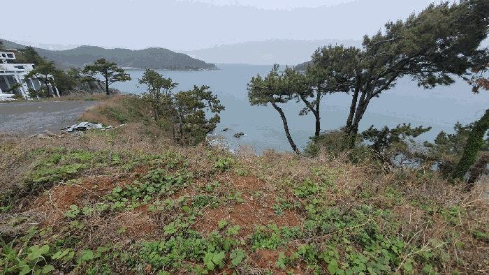 【 일련번호 3 】