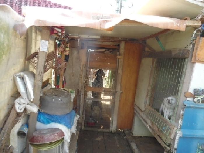 목록3. 토지(도로) 전경(4)