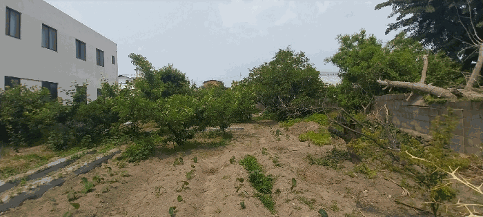 조경상황(보리수, 꽃사과 등)