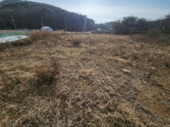 목록2 토지 전경