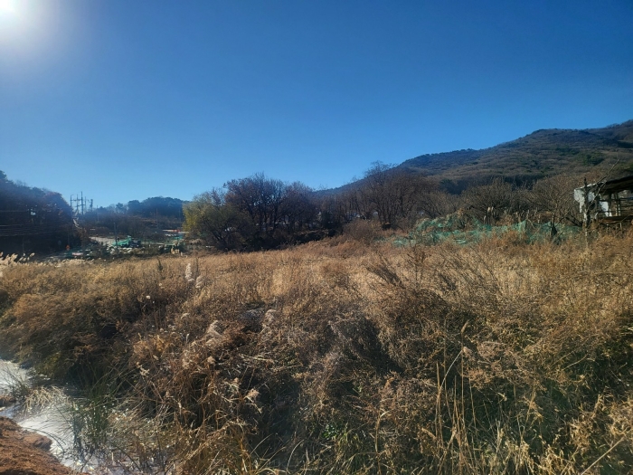 본건 전경
(북동측에서 촬영)