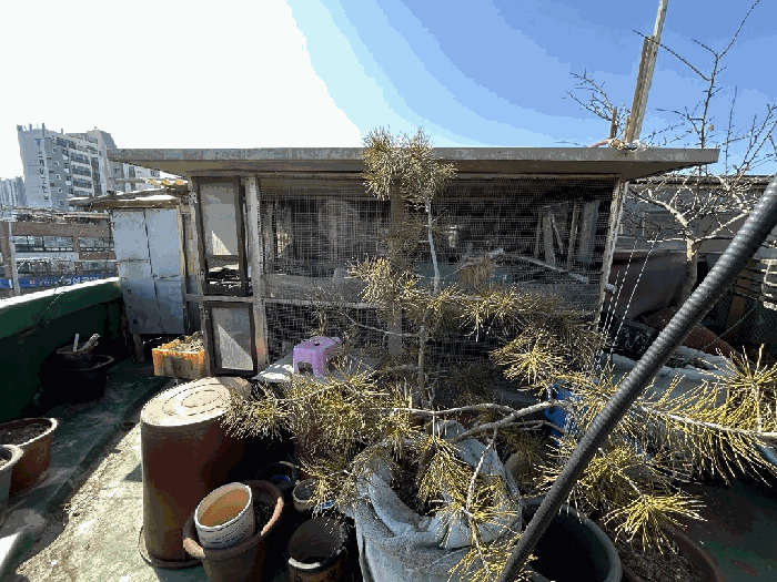 『 제시외건물 기호㉢ 』
