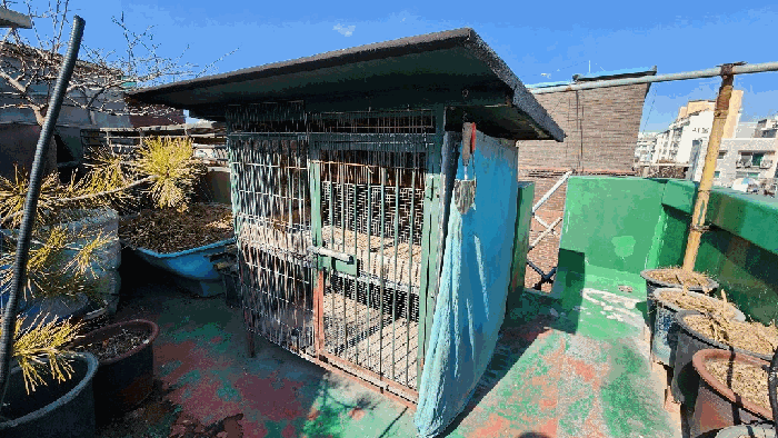 『 제시외건물 기호㉡ 』
