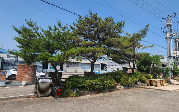 21. 제시외 수목 ㉧